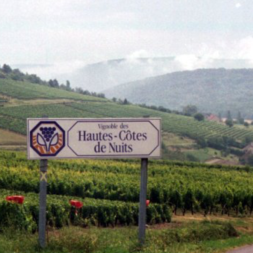 burgund